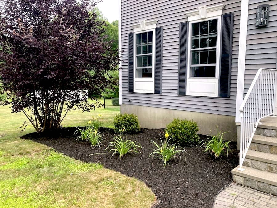 Front of house with new plantings