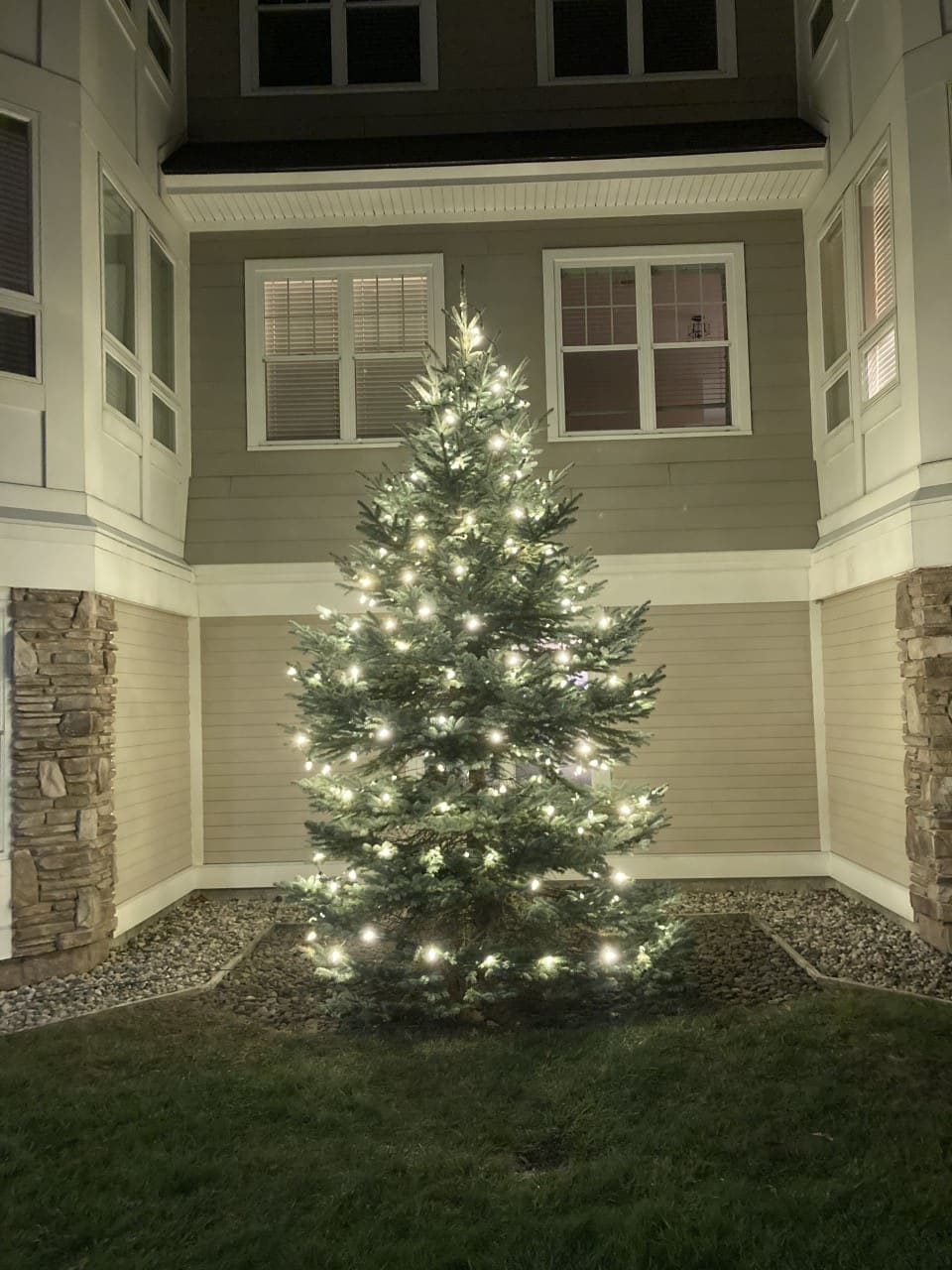 Riverwoods tree lighting