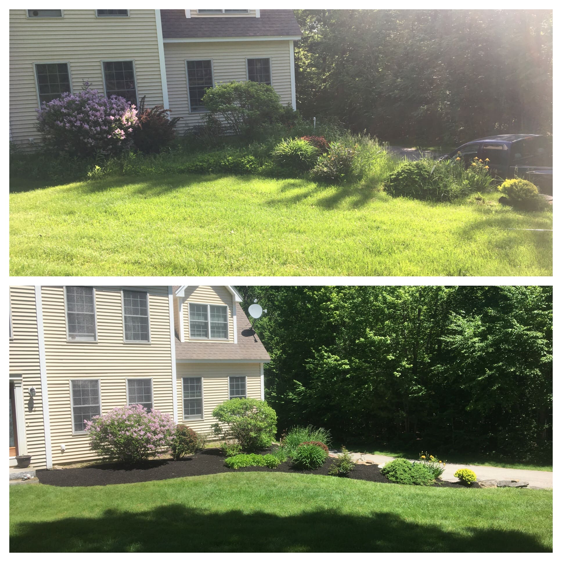 Before and after shots of a small planting bed
