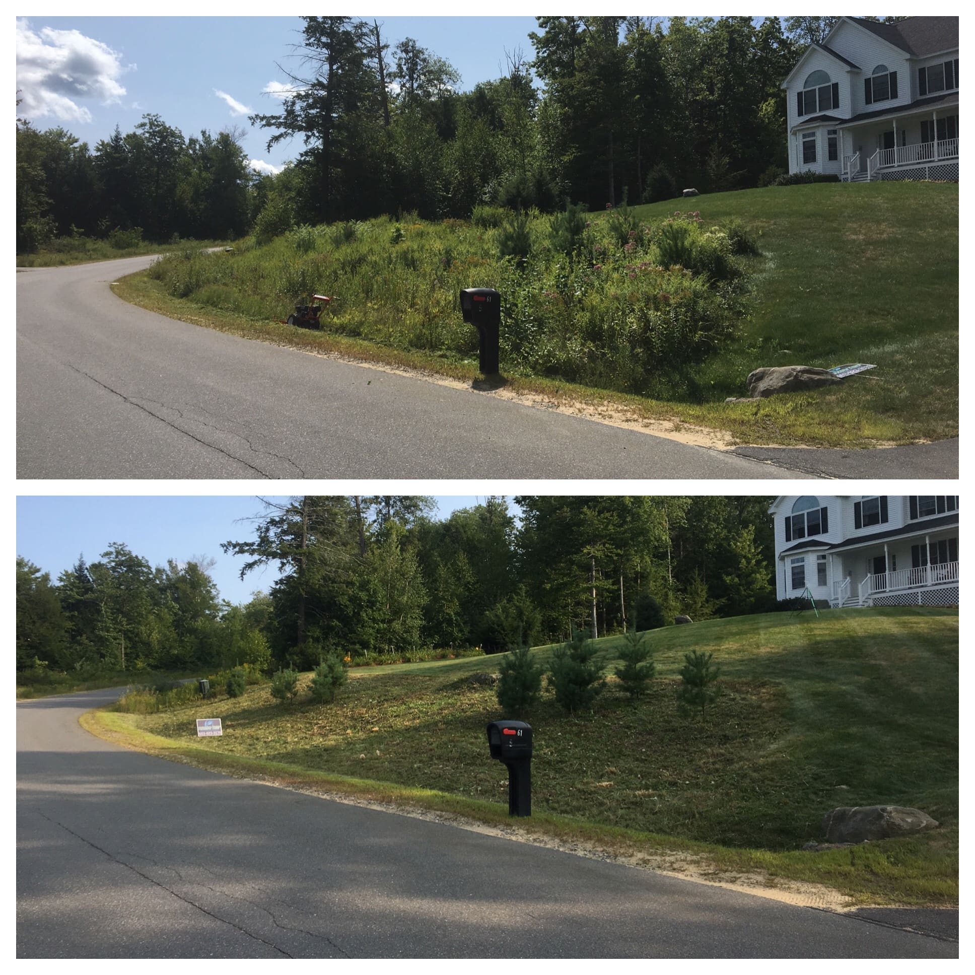 Before and after shots of a small planting bed